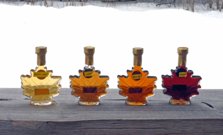 bottles of maple syrup
